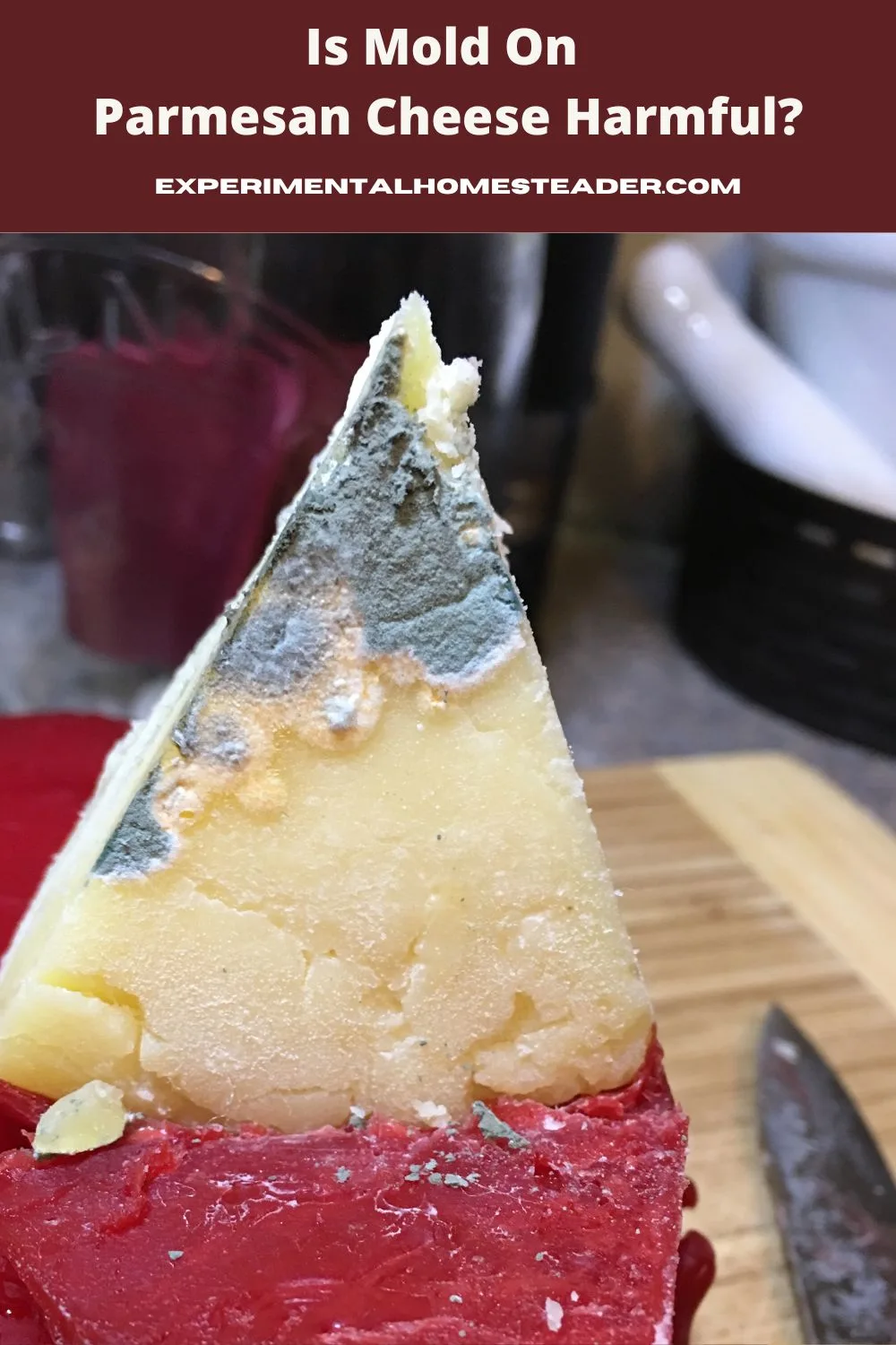 A detailed view of the mold growth on the wax-covered rind of a homemade Parmesan cheese wheel.