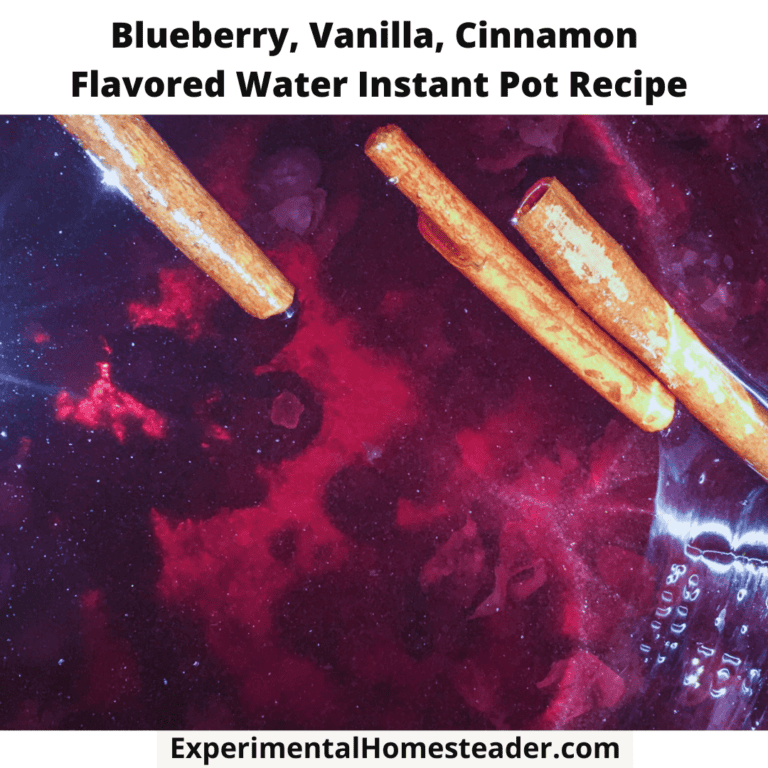 Fresh blueberry water with cinnamon sticks, vanilla, and natural ingredients for flavored water recipes.