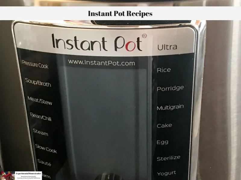 An Instant Pot sitting on a counter.