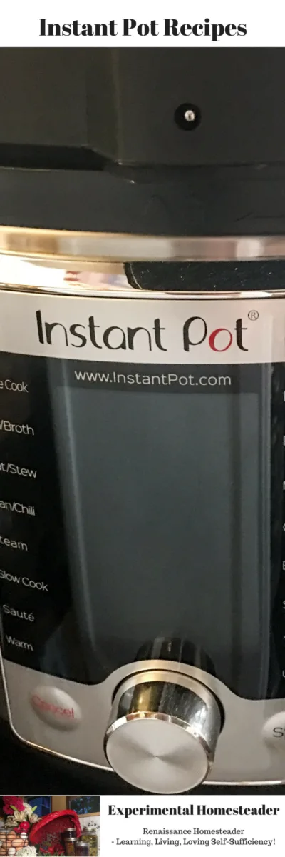 An Instant Pot sitting on a counter.