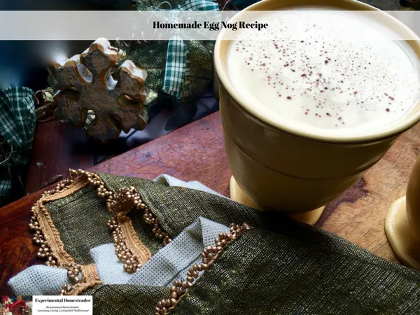 A cup of homemade eggnog sitting on a table.