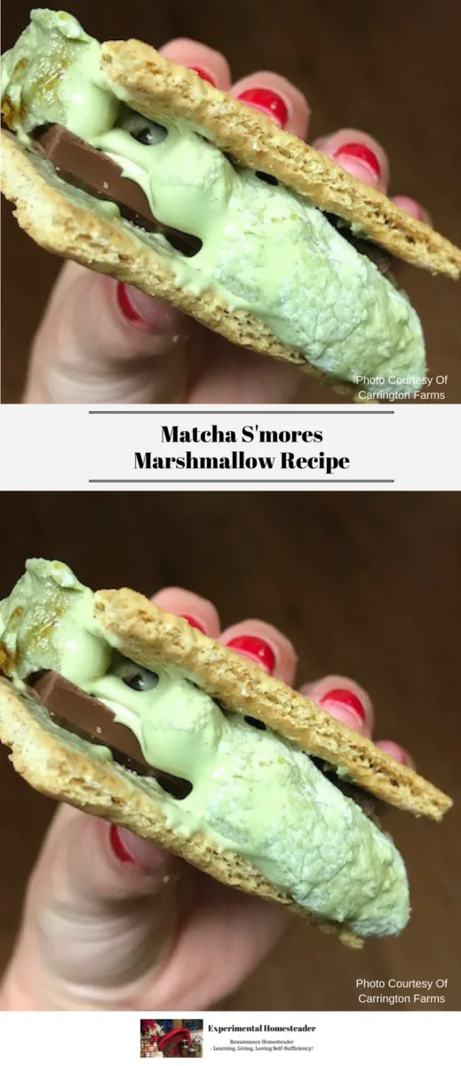 Two different views of a ready to eat s'mores being held in someone's hand.