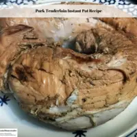 Pork Tenderloin Instant Pot Recipe - Experimental Homesteader