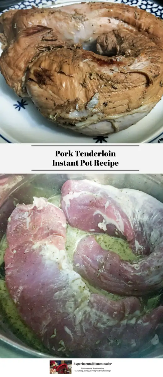 A cooked pork tenderloin on a plate on the top. A raw pork tenderloin in an Instant Pot on the bottom.