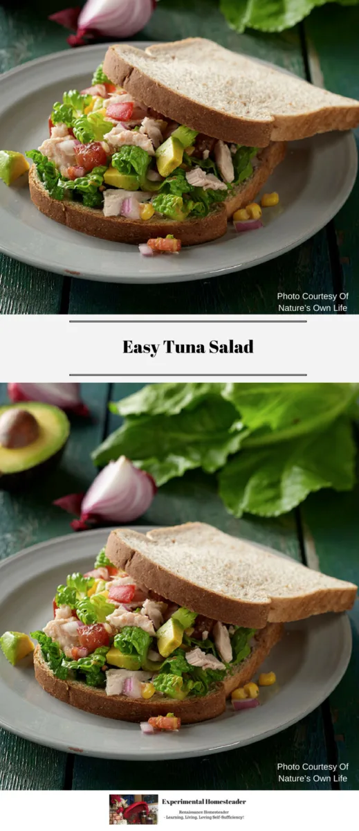 Tuna salad sandwich on a plate.