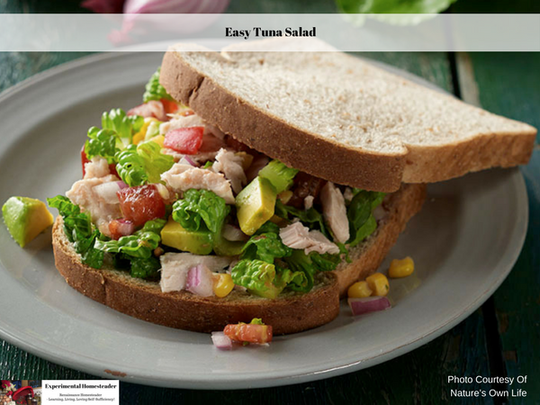 Tuna salad sandwich on a plate.