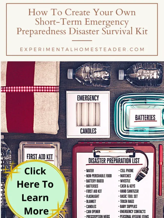 Short Term Emergency Preparedness Disaster Survival Kit Story