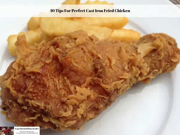 A double fried chicken leg and French fries on a white plate.