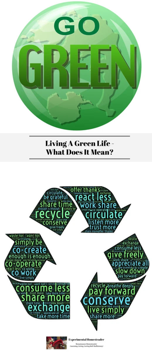 The top photo is a green globe with the words Go Green on it. The bottom photo is a recycle symbol with words in it on how to live a greener life.