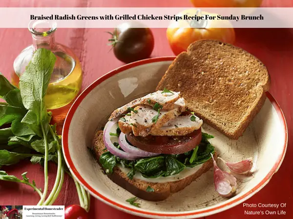 An open faced braised radish greens with grilled chicken sandwich on a plate surrounded by olive oil, whole ripe tomatoes and radishes with the tops intact. 