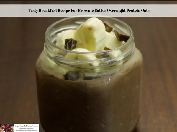 The photo shows the ready to eat Brownie Batter Overnight Protein Oats topped with bananas and dark chocolate chunks.