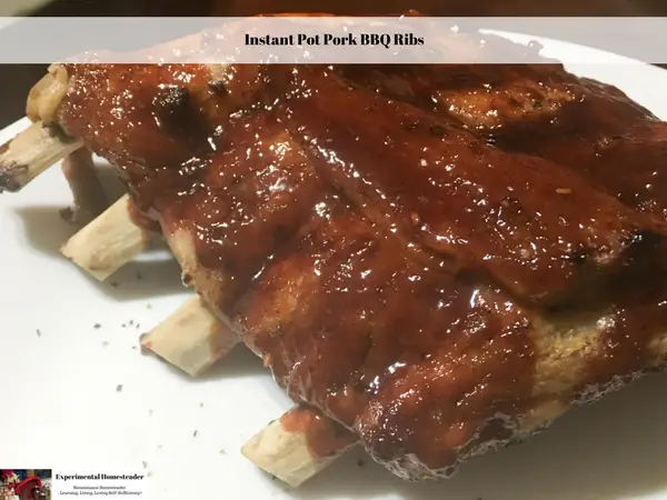 BBQ pork ribs on a plate getting ready to be served.