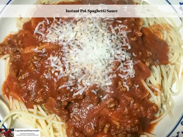 Cooked spaghetti on plate topped with homemade spaghetti sauce and freshly grated parmesan cheese.