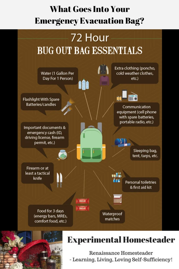An infographic showing 72 hour bug out bag essentials that you need in your emergency evacuation bag.