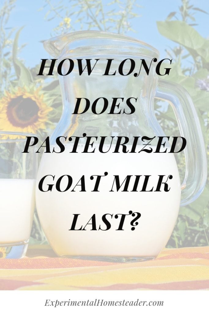 How Long Does Pasteurized Goat Milk Last Experimental Homesteader