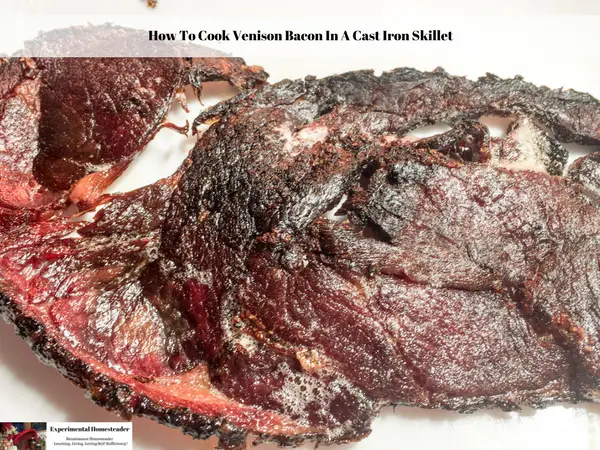 How To Cook Venison Bacon In A Cast Iron Skillet