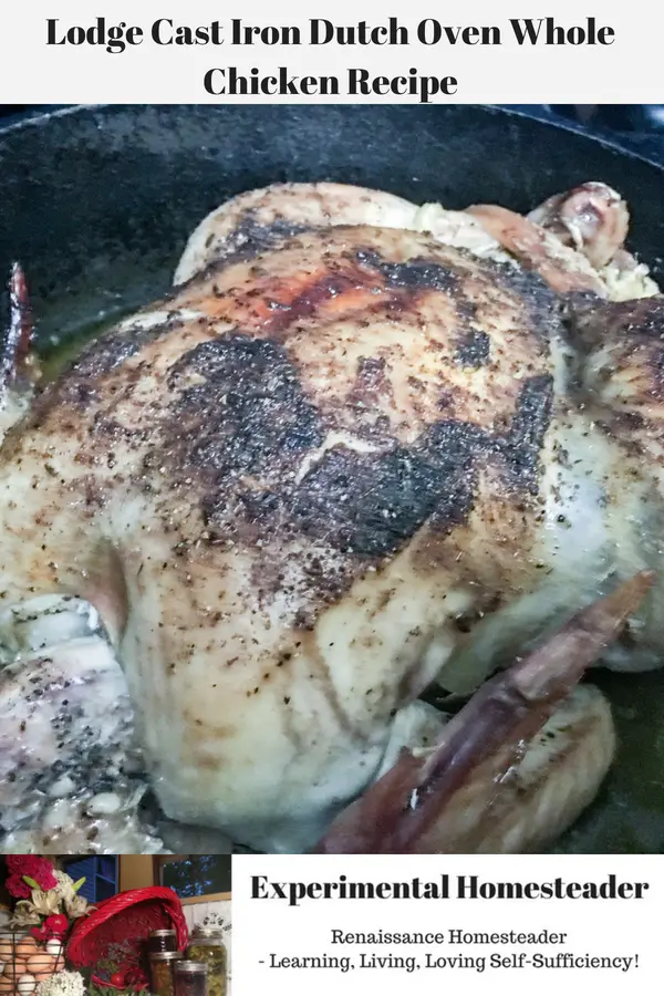 A whole roasted chicken ready to eat.