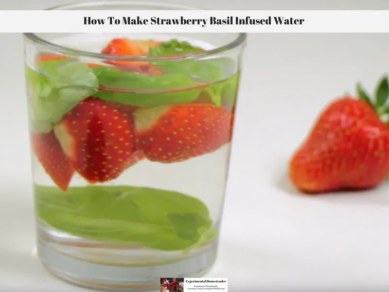 Fresh strawberries and fresh basil in a glass of water.