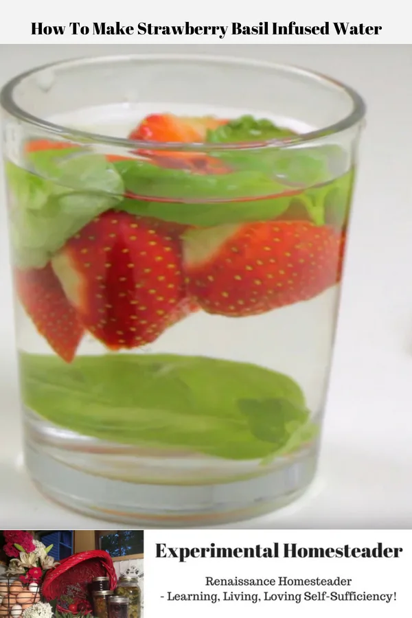 Fresh strawberries and fresh basil in a glass of water.