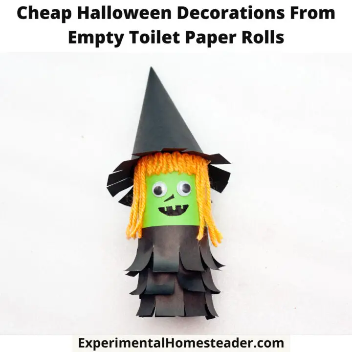 Cheap Halloween Decorations From Empty Toilet Paper Rolls