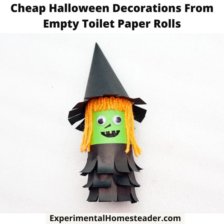 Colorful Halloween witch craft made from empty toilet paper rolls and craft supplies.