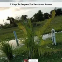 4 Ways To Prepare For Hurricane Season