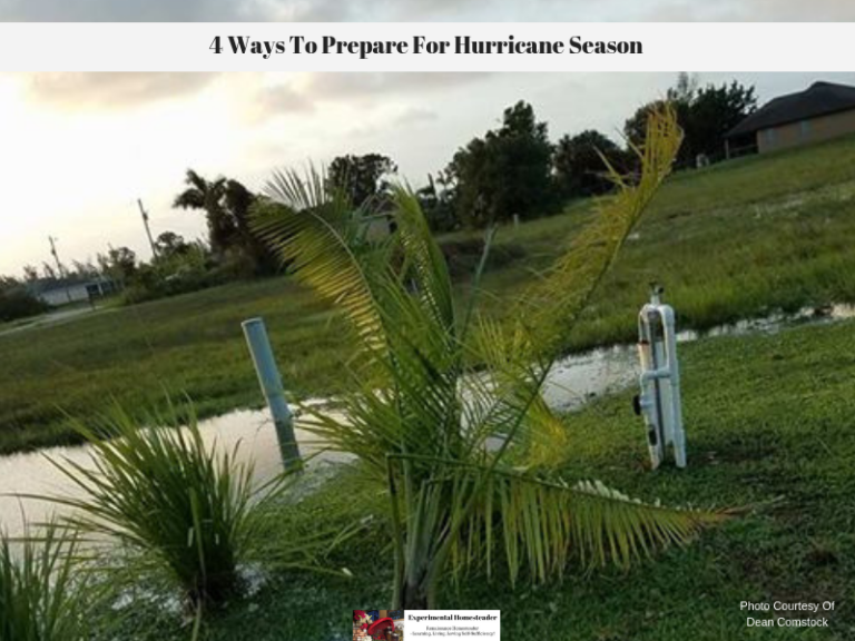 4 Ways To Prepare For Hurricane Season