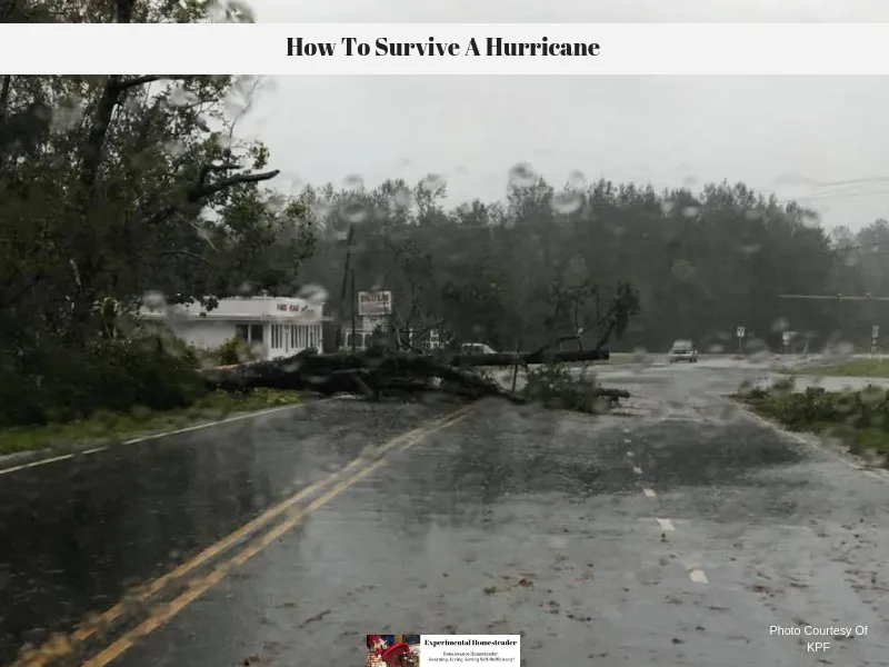 A tree down on a wet road and a truck driving down the road.