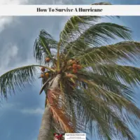 How To Survive A Hurricane
