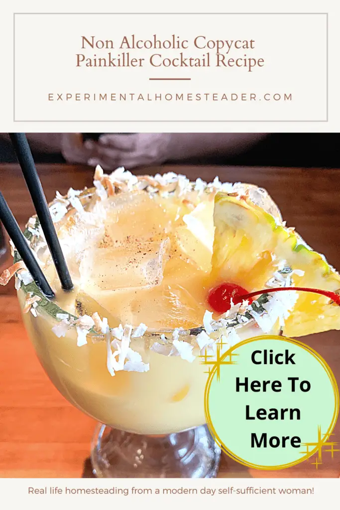 Non Alcoholic Copycat Painkiller Cocktail Recipe Experimental Homesteader