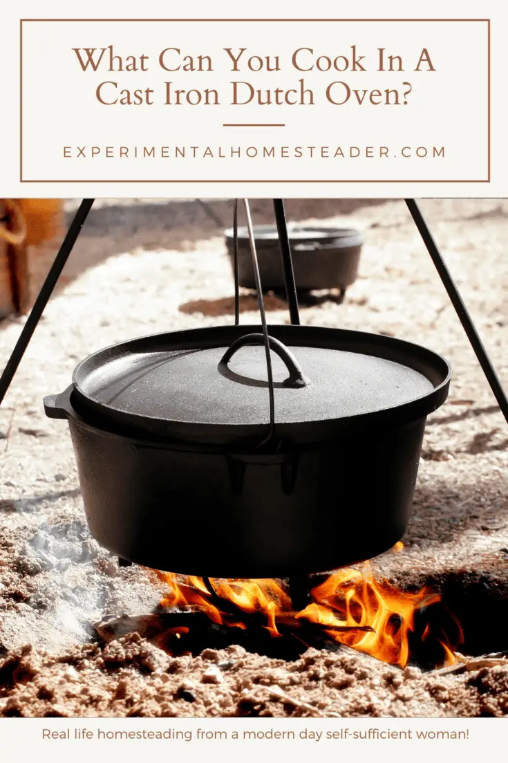 What Can You Cook In A Cast Iron Dutch Oven? Experimental Homesteader