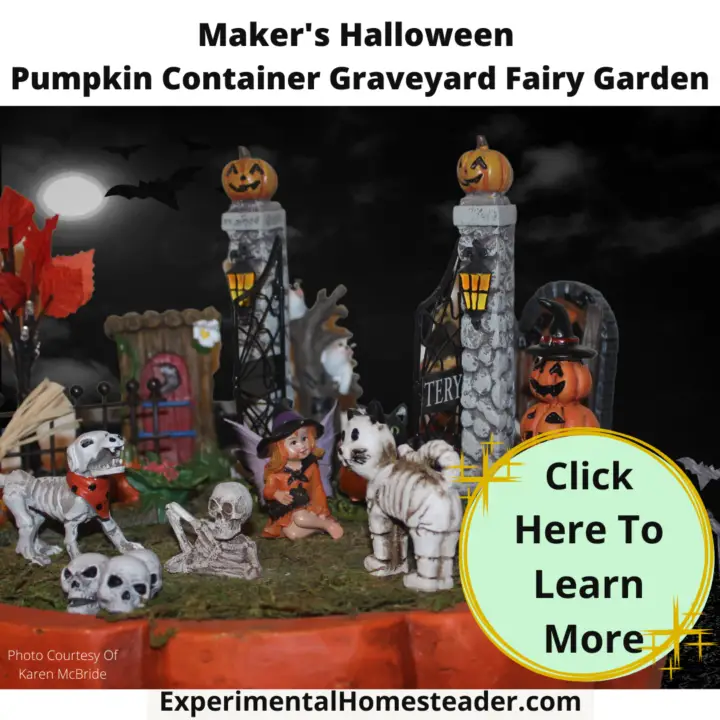 Maker's Halloween Pumpkin Container Graveyard Fairy Garden