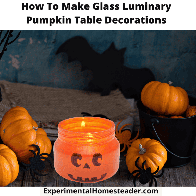 Spooky Halloween pumpkin lantern with candles, mini pumpkins, and spider decorations for fall homestead decor.