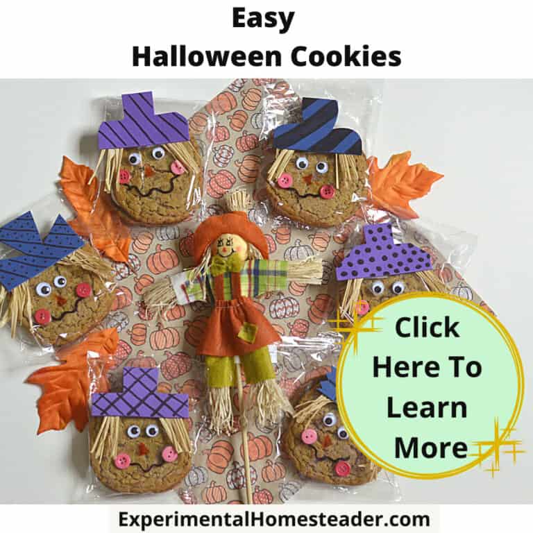 Cute Halloween cookie craft with scarecrow faces, pumpkin hats, and fall-themed decorations.