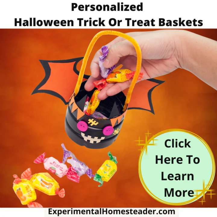 Personalized Halloween Trick Or Treat Baskets