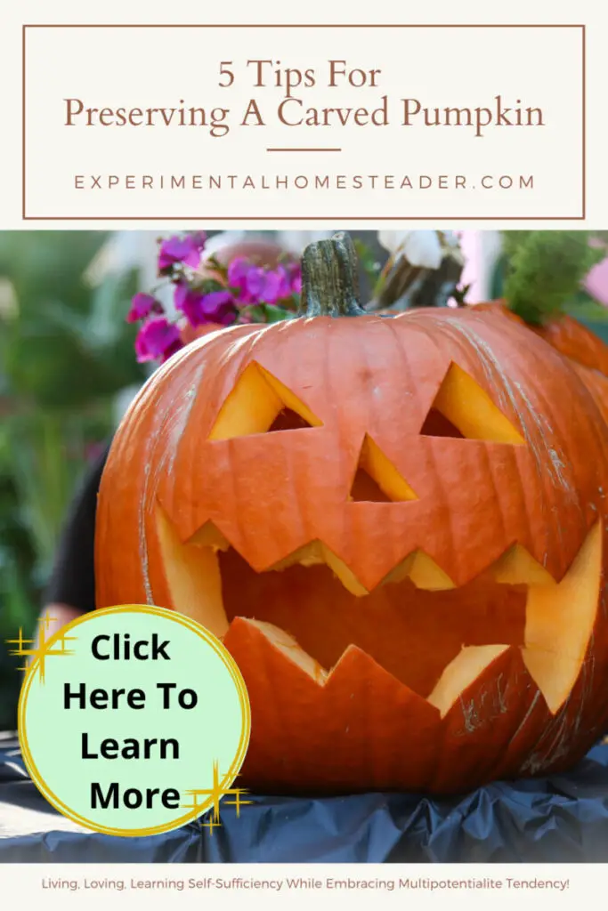 Preserving a Carved Pumpkin: Easily Make it Last Through Halloween ...
