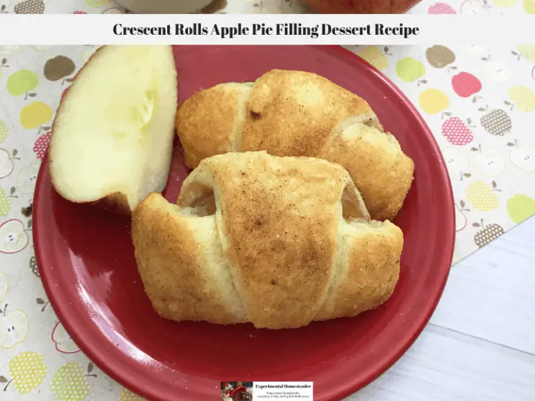Crescent rolls apple pie laying on a plate with a sliced apple quarter.