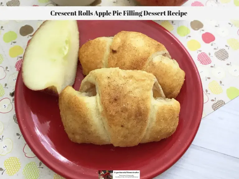Crescent rolls apple pie laying on a plate with a sliced apple quarter.