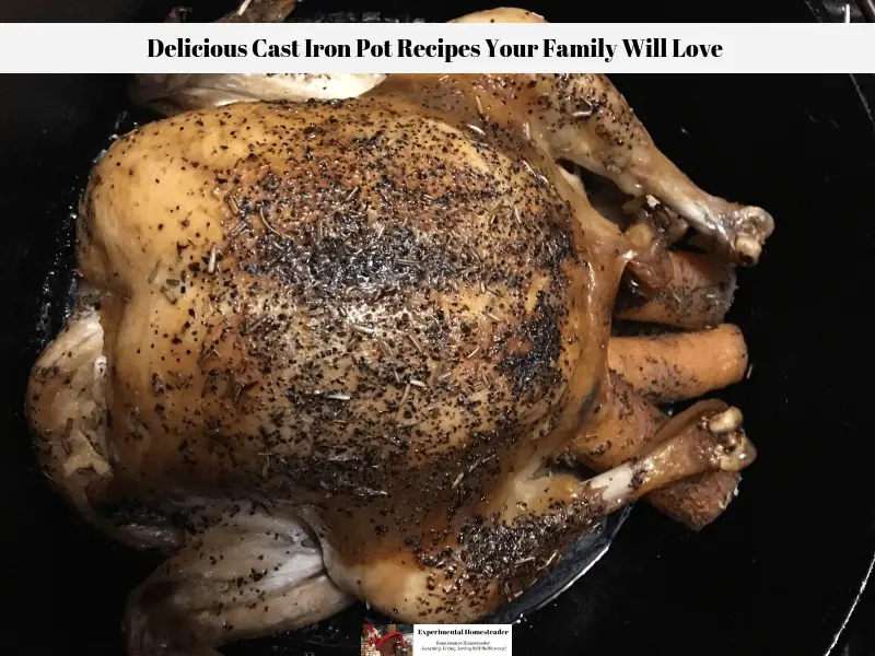 A cooked cast iron pot recipe whole chicken ready to eat.