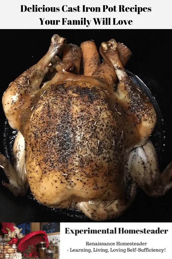 Delicious Cast Iron Pot Recipes Your Family Will Love Experimental