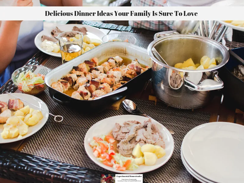 Delicious dinner ideas being served to a family buffet style.
