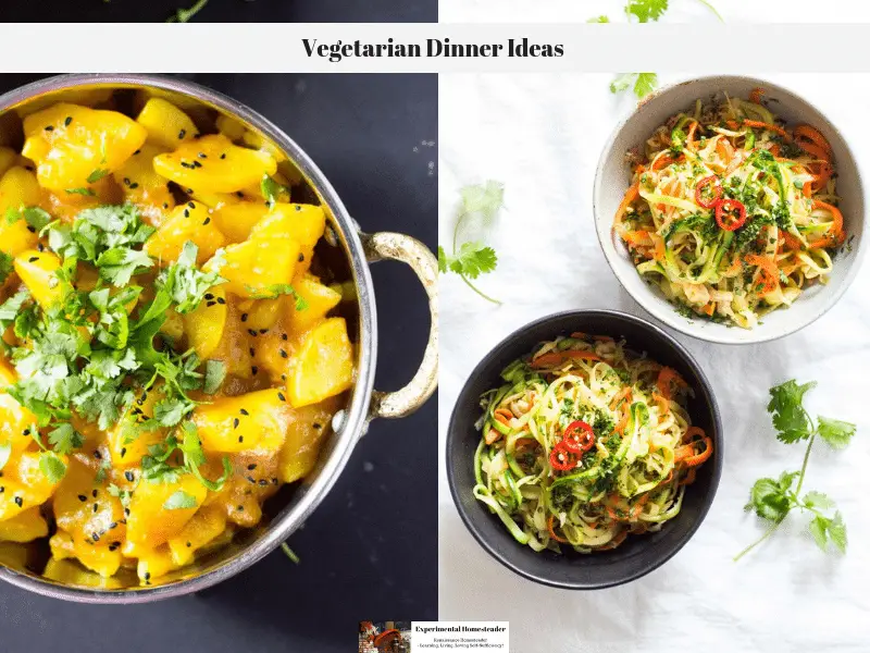 Two different vegetarian meals ready to serve.