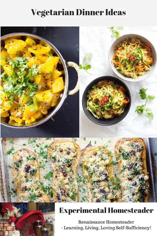 A variety of vegetarian dinner ideas.