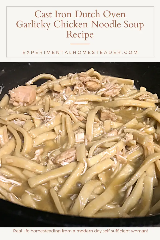 Cast Iron Dutch Oven Garlicky Chicken Noodle Soup Recipe Experimental