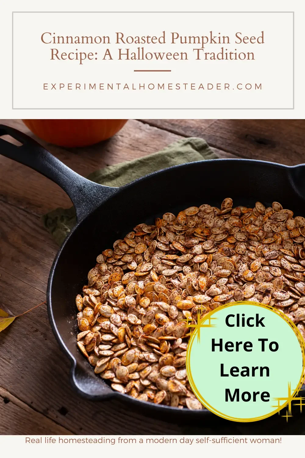 Roasted pumpkin seeds in a cast iron skillet.