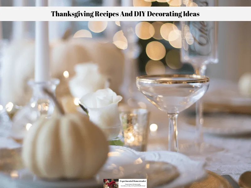 A thanksgiving table set with white and gold tableware and a white pumpkin.