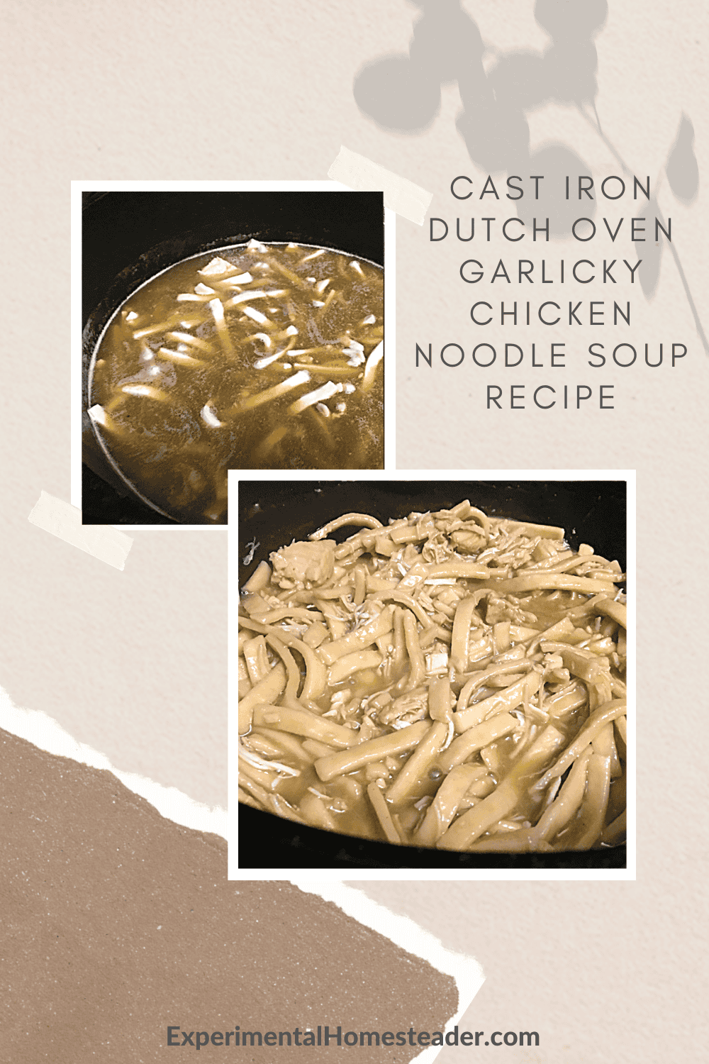 Cast Iron Dutch Oven Garlicky Chicken Noodle Soup Recipe Experimental