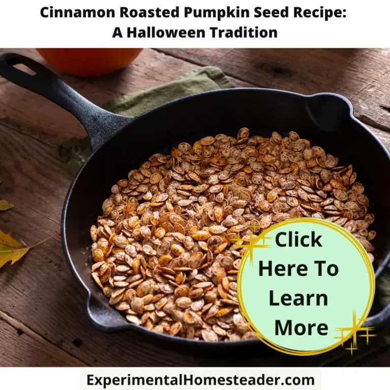 Roasted pumpkin seeds in a cast iron skillet.