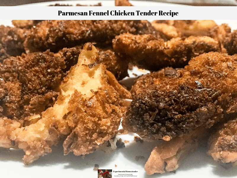 Parmesan Fennel Chicken Tender Recipe completed and ready to eat.