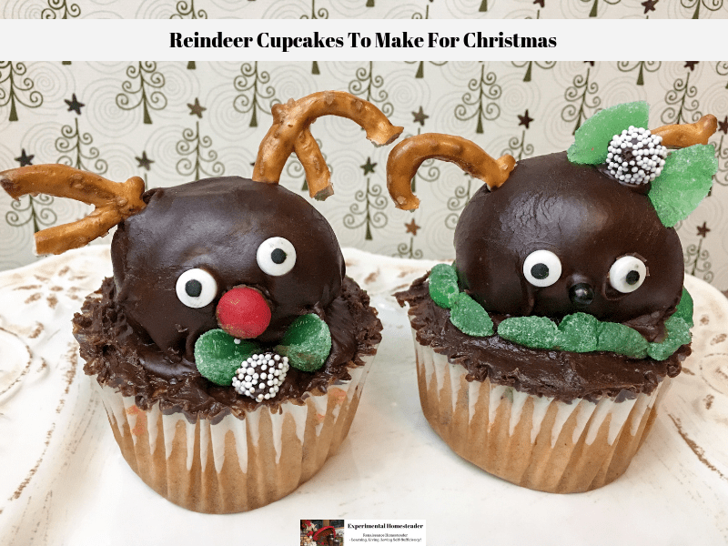 Reindeer cupcakes to make for Christmas completed and ready to eat.